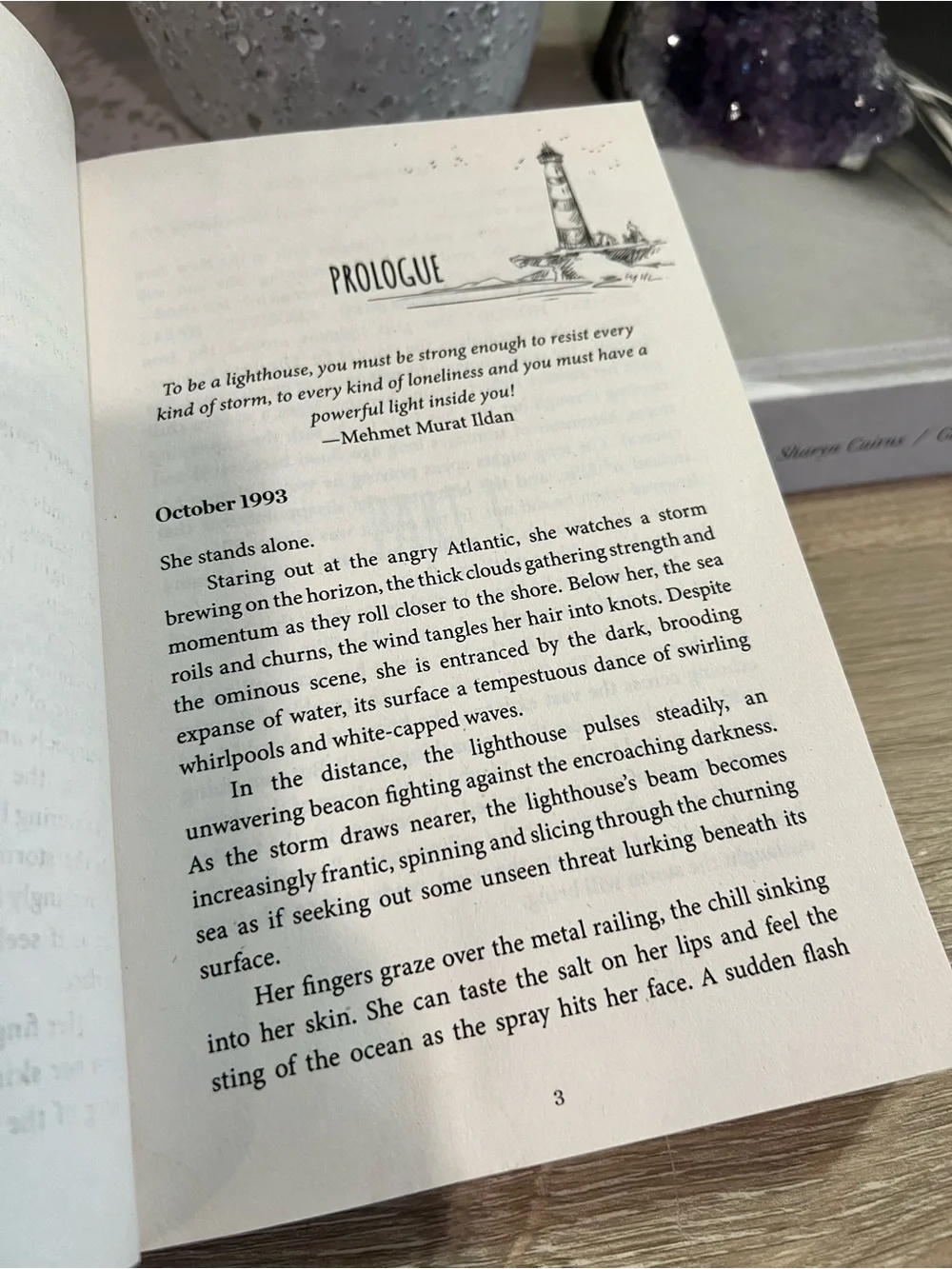A Thousand Distant Shores Buck Turner Paperback 2025 Contemporary Romance